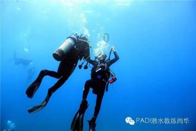 摩娜时尚博客