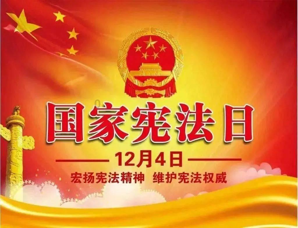 宠物世界聚会